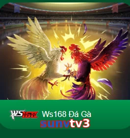 sunvtv3